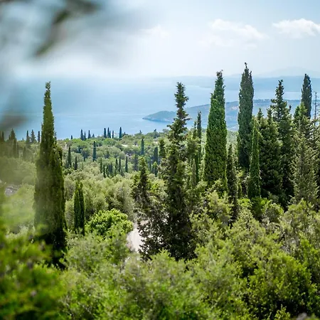 Storeali * Σκινάρια