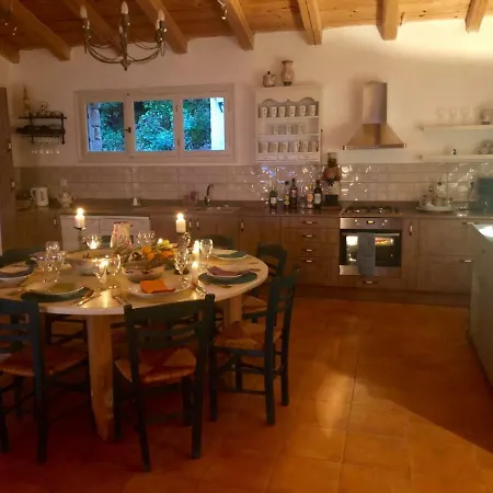 Storeali * Σκινάρια